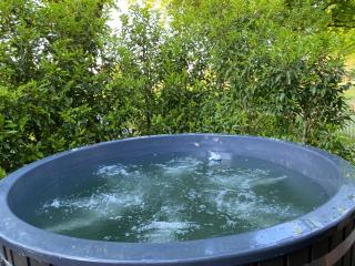 Boerderijlodge met hottub - Dinxperlo - 6