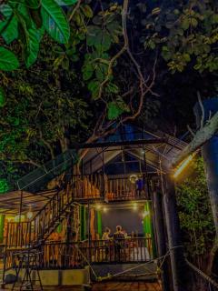 Yala Queens Resort - 5