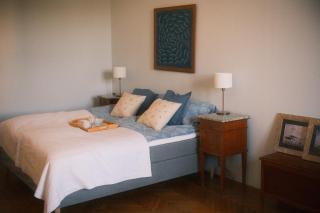 Old Town Antique Park View Apartment - 8