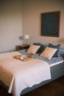 Old Town Antique Park View Apartment - 4