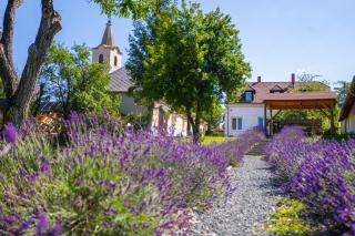 Nora Guest House - Happy Rentals - Nagygörbő - 0