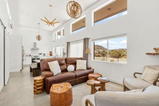 Desert Contemporary Compound - Large Modern Oasis - 4