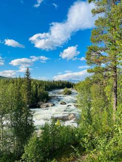Bjorknas -Top Quality Hideaway above Arctic Circle - 1