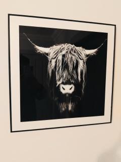 Country Bungalow - Alness - 6