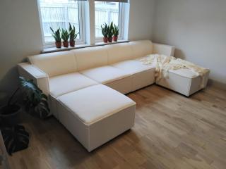 Country Bungalow - Alness - 5
