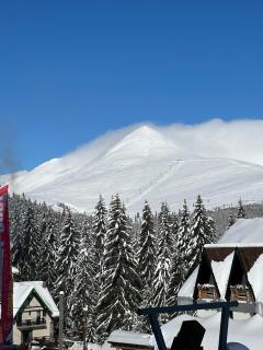 Complex Panoramic - 9