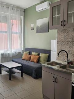 Jóbarát Apartman - Győr - 9