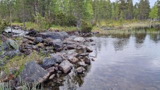 White Creek Wilderness Cottage - Inari - 6