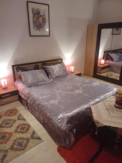 Apartament cu terasa la casa Valentin - 4