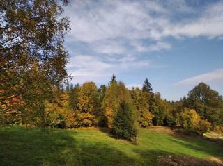 Zapach Lasu Polanica -Zdrój - 7