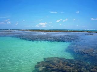 Bela Casa Praia dos Carneiros Condominio Beira Mar Seg 24hrs FRENTE PISCINAS NATURAIS!!! - 5
