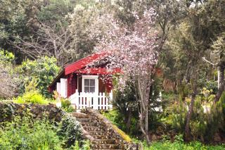 Casa Rural La Gustoza - El Sauzal - 7