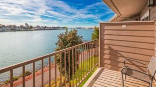 Best Western Plus Bayside Hotel - 3