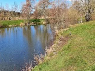 4 person holiday home in Oksbøl-By Traum - 4