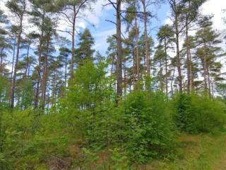 4 person holiday home in Oksbøl-By Traum - 5