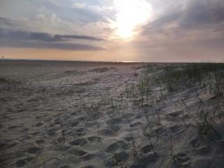 6 person holiday home in Fanø - 5