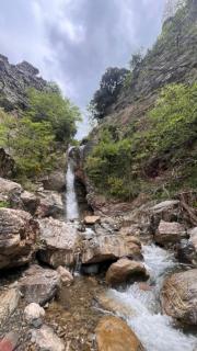 Bujtina OXHAKU I LAMES - Krujë - 3