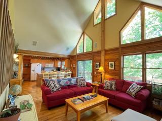 Top of the Line Asheville Mountain Cabin - Leicester - 4