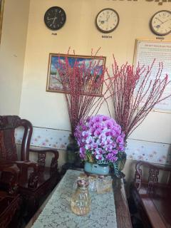 Thanh Binh Hotel - Provinz Hà Tĩnh - 9