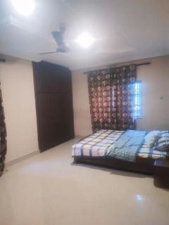 StayComidad - Tamale - 5