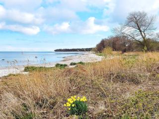 Beachfront Bliss in Snogebaek - By Traum Ferienwohnungen - Neksø - 6