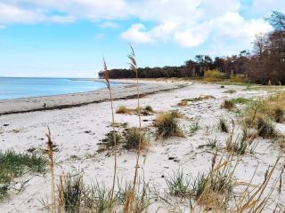Beachfront Bliss in Snogebaek - By Traum Ferienwohnungen - Neksø - 7