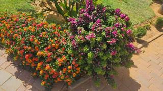Relaxation apartment - Assilah - 9