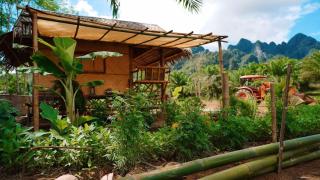 Khaosok Eco House - Khao Sok - 0