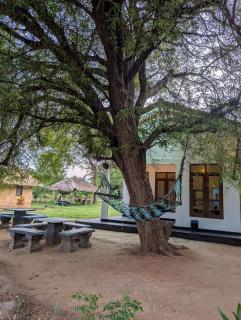 Ethili Lake view & Safari Camp - 2