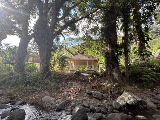 Le BUNGALOW CALEDONIEN DE SARRAMEA DEPAYSEMENT - Sarraméa - 8