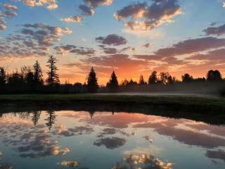 Sunshine garden - Aldergrove - 9