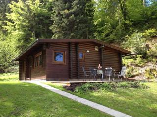 Chalet in Wörgl near SkiWelt Wilder Kaiser - 4