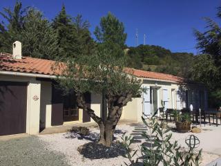 Tranquil Vineyard Villa, Berlou - 1
