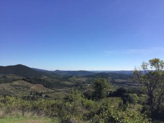 Tranquil Vineyard Villa, Berlou - 3
