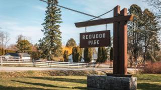The Sunset Haven- Cozy 2BR Basement Suite near White rock - Surrey - 6