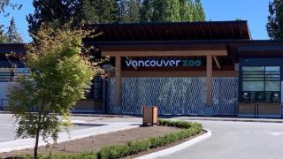 The Sunset Haven- Cozy 2BR Basement Suite near White rock - Surrey - 9
