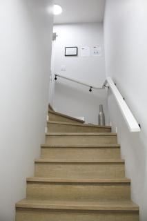 Modern 2 Beds 1 Bath Private Suite, Close to mountains - 5