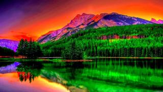 test - 4