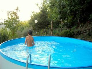 Woodland Escape with Pool - 5