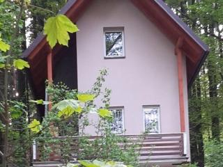Holín Quiet Garden Holiday Home - Prachov - 3