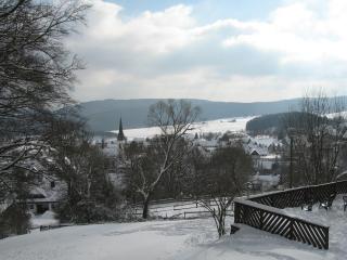 Ferienhaus mit Weitblick bei Medebach - 8