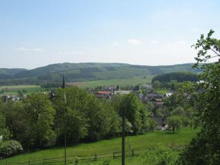 Spacious Düdinghausen Chalet - Medebach - 1