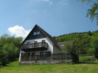 Spacious Düdinghausen Chalet - Medebach - 0