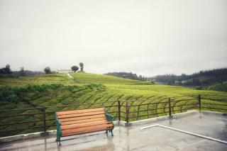 Stay Inn Homestay - 0