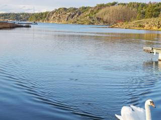 4 person holiday home in STRÖMSTAD - Strömstad - 5