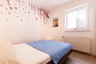 Apartma Seničica - 4