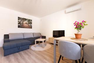 Apartma Seničica - 1