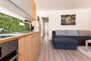Apartma Seničica - 3