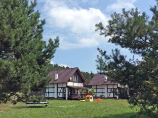 Holiday Home near Lake Żarnowieckie - Lubkowo - 4