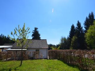 Forest-Edge Family Retreat - 6